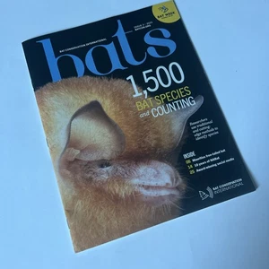 Bat Conservation Intern'l Mag #3 2025-1500 Bat Species-Bat Week-Mauritius bat - Foto 1 di 6