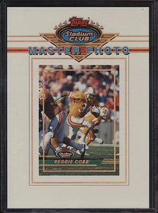 Foto maestra 1993 Topps Stadium Club 5x7 Reggie Cobb Tampa Bay Buccaneers - Imagen 1 de 2