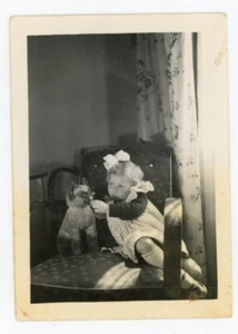 snapshot PHOTO, jouet ancien toy chat cat peluche doudou - Foto 1 di 2