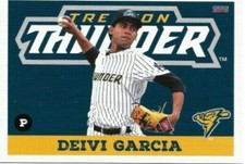 2019 Trenton Thunder Team Card Set (Pick Your Cards) New York Yankees