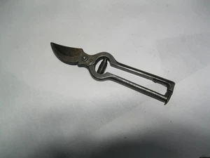 antike Pflaumenschere Made in Italy - Bild 1 von 6