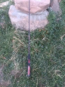 Shakespeare Ugly Stik GX2 6' Casting Rod - Picture 1 of 3