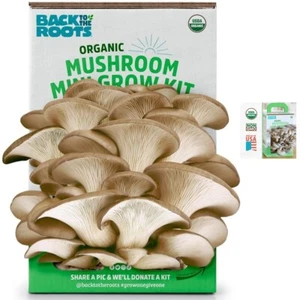 Back to the Roots Mushroom Grow Kit Organic Harvest Gourmet Oyster Mushrooms in - Picture 1 of 10