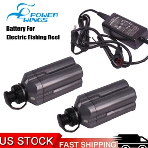 2X para carrete de pesca con batería Daiwa Tanacom 750 1000 BM2000 BM2300 BM2600 + cargador - Imagen 1 de 11