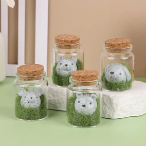 Adopt Rock A Pet In A Jar With Adoption CertificateSmiling Rocks Perfect Gift - Afbeelding 1 van 16