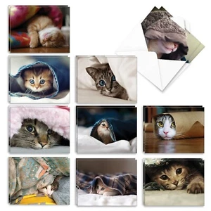 The Best Card Company - 20 Adorable Cat Greeting Cards (4 x 5.12 Inch) - Blan... - Picture 1 of 9