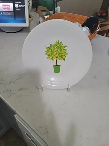 Fiestaware Citrus Luncheon Plate - Picture 1 of 2