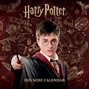 Calendario 2025 Harry Potter Mese da Vedere Mini Calendario Prodotto Ufficiale - Foto 1 di 9