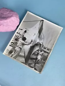 Balboa Angling Club 1952 Ispezione Giudice Catturato Ocean Manta Ray Foto - Foto 1 di 5