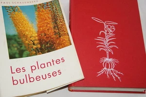 LES PLANTES BULBEUSES SCHAUENBERG ENGRAVINGS DELACHAUX NIESTLE BOTANICAL 1964 - Picture 1 of 1