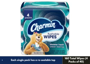 Charmin Flushable Wipes, 160 Total Wipes (4 Packs of 40) - Picture 1 of 4
