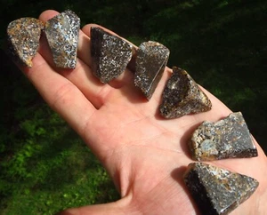 7 ORANGE GEPARDEN ACHAT CHALCEDON WUNDERSCHÖN SELTEN GESCHLIFFEN & GETROMMELT KRISTALL KONVOLUT *1 - Bild 1 von 7