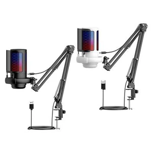 Gaming-USB-Mikrofon mit flexiblem Hängearm für Twitch-Podcasting - Afbeelding 1 van 7