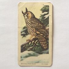 1953 LONG-EARED OWL RED ROSE BLUE RIBBON CARD BIRDS AMERICA No 47 Series 4 P