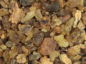 Gum Myrrh - Kremer Gums & Resins - Traditional Oil Painting Varnish - Picture 1 of 1