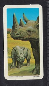 BLACK RHINOCEROS - 50 + year old Canadian Trade Card # 37