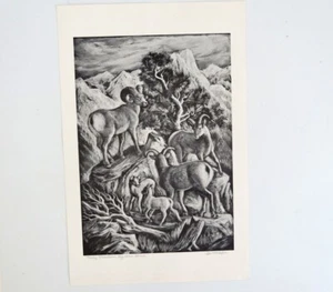 Ila McAfee "Rocky Mountain Big Horn Sheep" Signed Lithograph on Paper - Picture 1 of 4