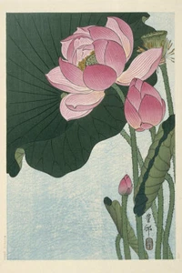 Blooming Lotus Flowers by Ohara Koson Floral - Picture 1 of 4