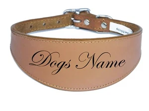 Dogs Name Personalized Leather Dog Collar Padded For Whippet Greyhound Hounds - Picture 1 of 11