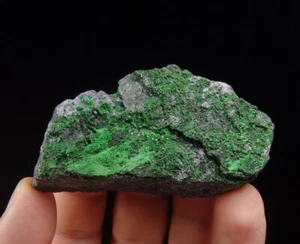 UVAROVITE rare green chromium GARNET --- RUSSIA - Ural Mts. - SARANY /pl522 - Picture 1 of 15