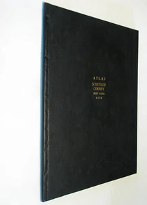 Atlas Schuyler County New York NY 1874 reprint plat book genealogy Watkins Glen - Imagen 1 de 8