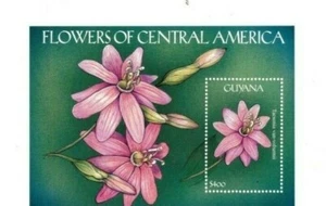 Guyana - 2001 - Flowers - Souvenir Sheet - MNH - Picture 1 of 1