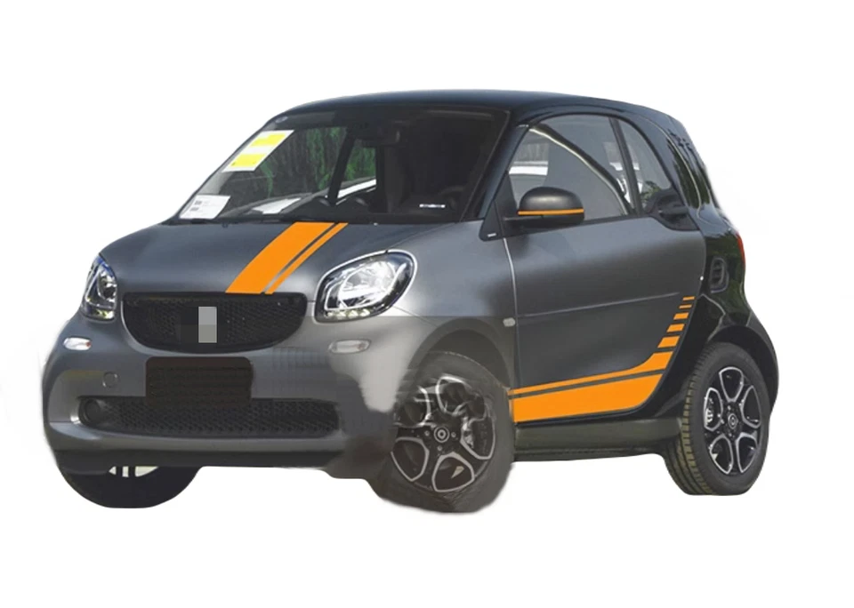 Graphic Racing Stripe Car Sticker Kit For Smart Fortwo Side Decal Hood Roof Rear — 第 1/4 张图片