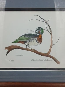 Prachtvolle Holz Ente Limited Edition Federtinte 5x7 Druck Marcia Klindt Beckman - Bild 1 von 7