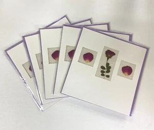 Rose & Petals Square Blank Greeting Cards by Caroline Moore Lot of 5 New Cards - Picture 1 of 1