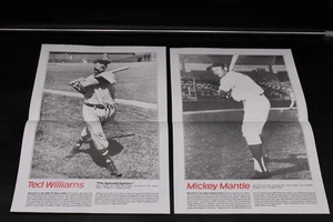 Mickey Mantle/Ted Williams 11x17 Poster Lot (2) 1987 ZJ20699 - Picture 1 of 4