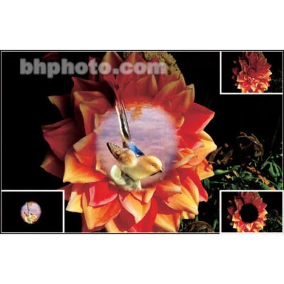 Cokin Double Mask 1 A+B 342. - Image 1 of 4