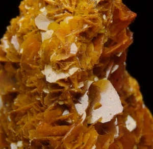 WULFENITE intensive orange crystals !!! -- CHINA - Kuruktag Mountains /pj585 - Picture 1 of 17