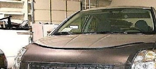 Mini sujetador protector de capó Lebra para Nissan Sentra 2007-2012 Foto 1 de 1