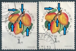 20970 Hungary Flora Plant Fruit Apricot Used ERROR Shifted Colour - Picture 1 of 2