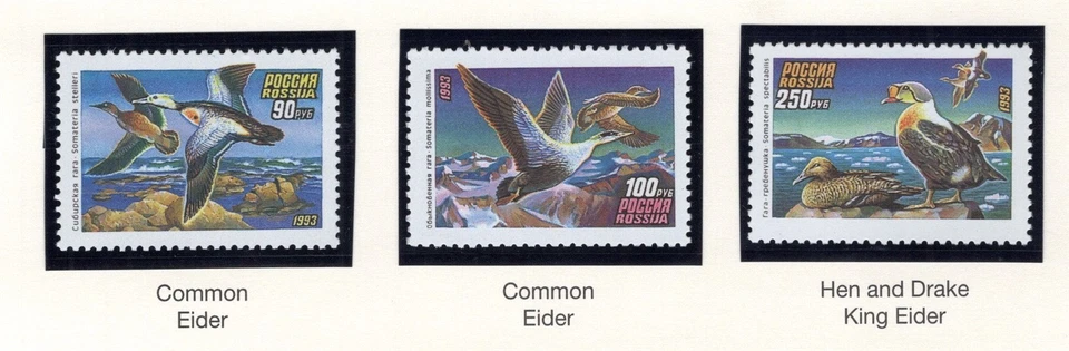 Russia Stamp Scott #6155-6157, Ducks, Set of 3, MNH, SCV$2.00 - Image 1 of 1