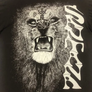 Collective Consciousness Awakening Lion Graphic T-Shirt Herren Large Tee - Bild 1 von 5