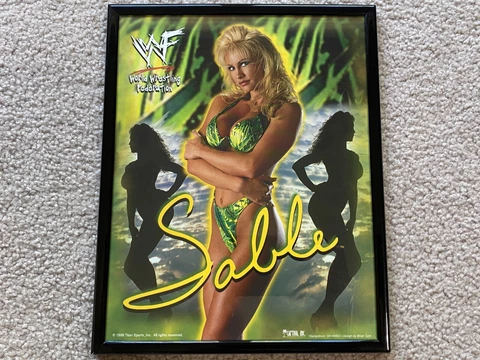 Vintage 1998 Sable WWF Wrestling Picture Framed Poster Titan Sports WWE Photo Cover