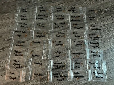 40 Sorten Tomaten Cocktail Fleischtomate FlaschenTomate Samen/sorte - Bild 1 von 3