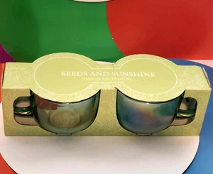 New 2 Piece Seeds And Sunshine Green Clear Glass Teacups In Original Box - Picture 1 of 9