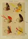 A4 Print Fishing With Fly 1883 Lake Flies 3