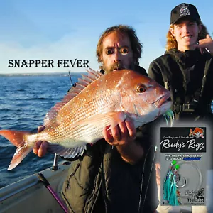 4x Snapper rigs 5/0 Hook  Paternoster ultra Fishing Rig Bait Reedy's Midnight - Picture 1 of 3