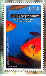 2024- TAAF/SFAT -FRENCH SOUTHERN TERRITORIES- FISH 1V MNH ** T - Picture 1 of 1