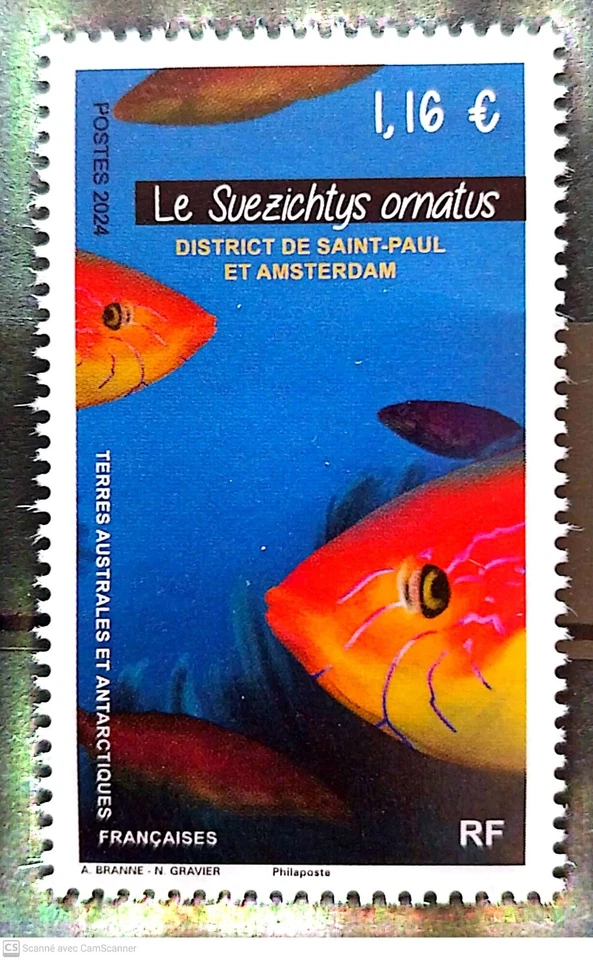 2024- TAAF/SFAT -FRENCH SOUTHERN TERRITORIES- FISH         1V  MNH **B - Image 1 of 1