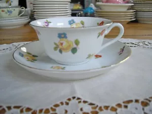 Vintage O & E.G. Royal Austria Fine China Teacup & Saucer ~ - Picture 1 of 10