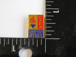 PIN OFICIAL CAPÍTULO ASOCIACIÓN DE EMPLEADOS ESCOLARES DE CSEA CALIFORNIA - Imagen 1 de 2
