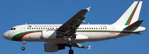 Airbus A-319-111 Bulgaria - Fuerza Aérea A319 modelo de madera envío gratuito - Imagen 1 de 1