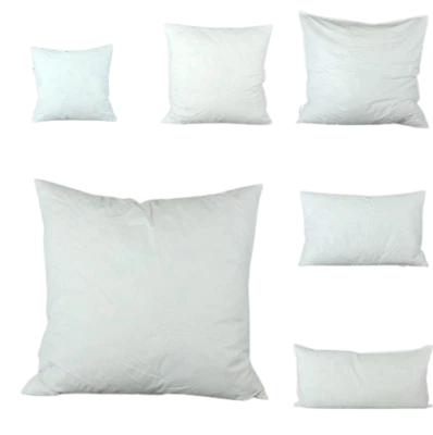 Federkissen Sofakissenfüllung 40x40 50x50 60x40 60x60 40x80 80x80cm Füllkissen  - Bild 1 von 2