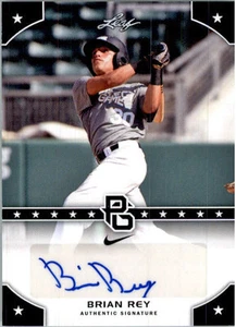 BRIAN REY Lakre County DockHounds 2015 Leaf *PERFECT GAME* AUTOGRAPH RC - Picture 1 of 1