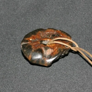 Edo Periode Netsuke Holzschnitzerei "Shiitake Pilz" Sagemono - Bild 1 von 7