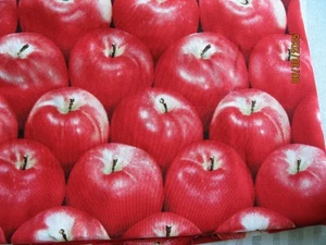 Benartex Apples by Maria Kalinowski - Picture 1 of 1